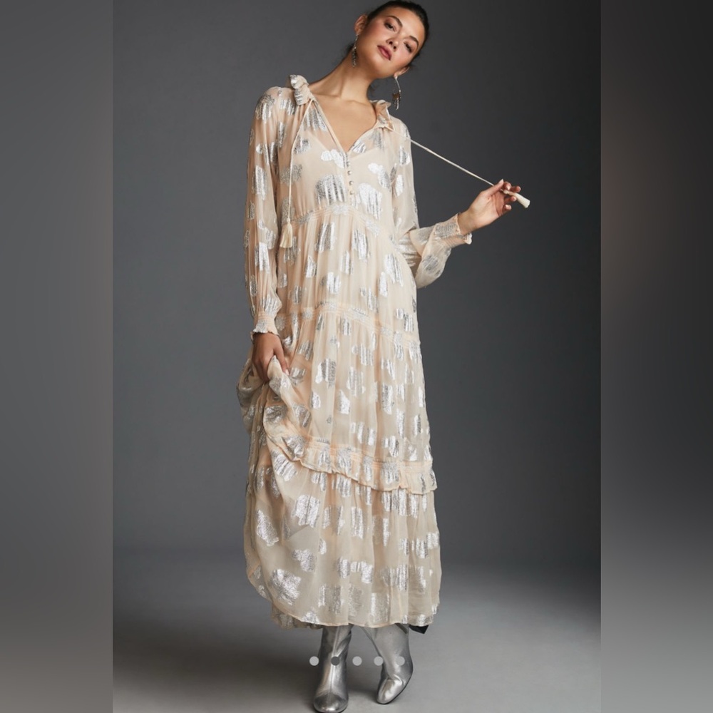 Anthropologie | the marais chiffon maxi dress shine edition, petite extra small